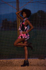 Image showing portrait of a young African-American woman in a summer dress