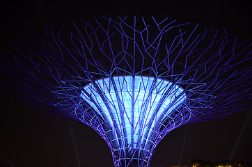 Image showing Supertree Grove, Gardens by the Bay in Singapore