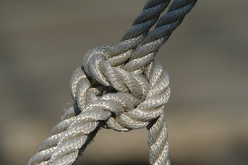 Image showing Half hitch