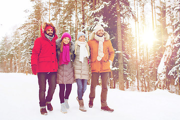 Image showing group of smiling men and women in winter forest