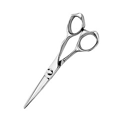 Image showing Scissors