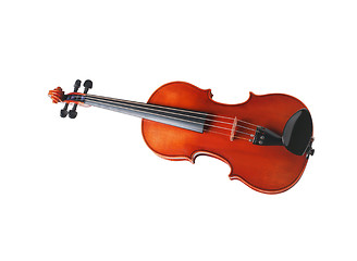 Image showing Violin front view