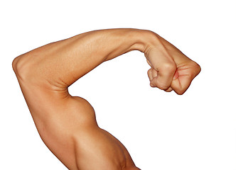 Image showing Biceps