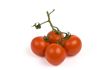 Image showing bunch of tomatoes