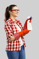 Image showing Cleaning day