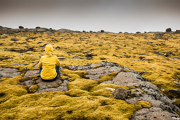 Image showing Surrounded by Icelandic moss