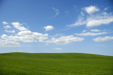 Image showing Green field with blue sky and clouds