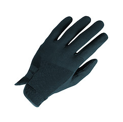 Image showing Glove