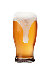 Image showing Beer