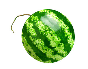 Image showing watermelon on white background