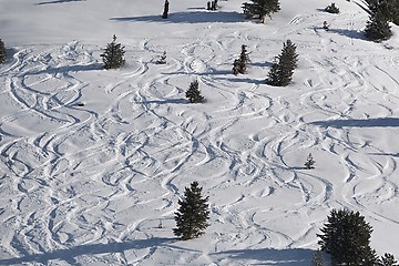 Image showing Ski Slope with Fresh Curves