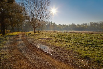 Image showing Autumn morning landscape