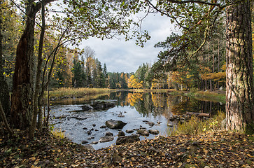 Image showing Sunshine river