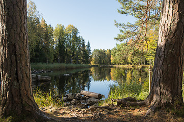 Image showing Sunshine river