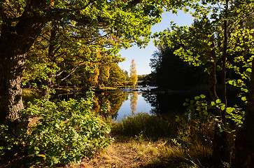 Image showing Sunshine river