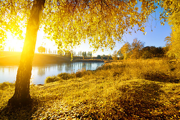 Image showing Colorful autumn on river