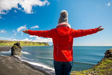 Image showing Tourist in Iceland