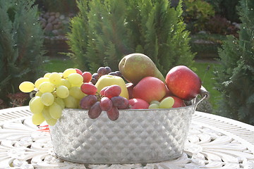 Image showing Different kind of fruits on table in the garden