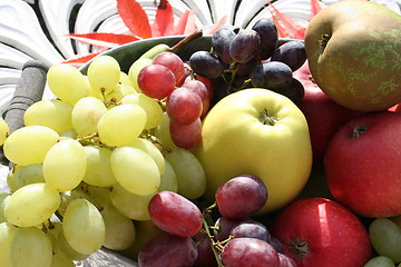 Image showing Different kind of fruits in the garden