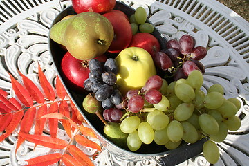 Image showing Different kind of fruits in basket on white table in the garden