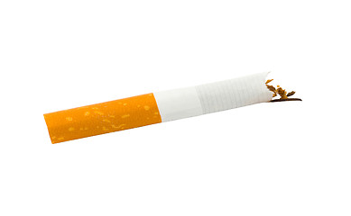 Image showing Broken cigarette