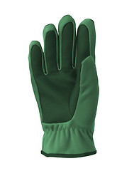 Image showing Green winter glove