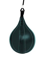 Image showing Boxing pear hanging