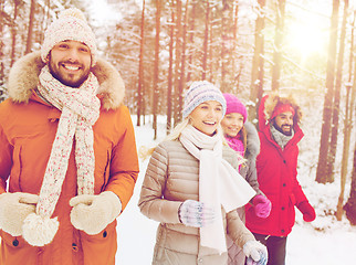 Image showing group of smiling men and women in winter forest