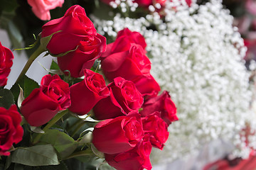 Image showing Red roses close up. Background.