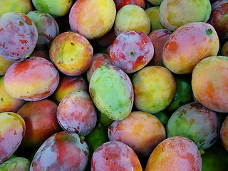 Image showing mango