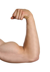Image showing biceps isolated on white