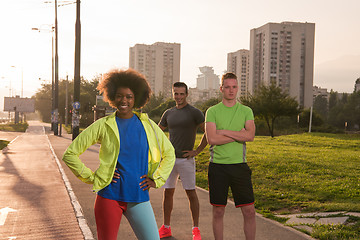 Image showing portrait multiethnic group of people on the jogging