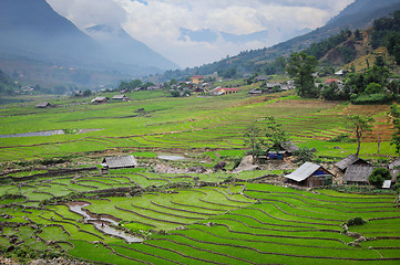 Image showing Rice field terraces