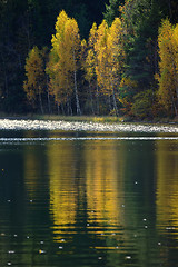 Image showing Autumn  with the yellow foliage, reflected in Lake