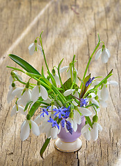 Image showing Beautiful bouquet of snowdrops in vase