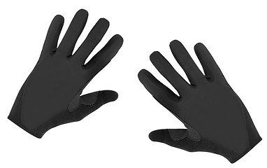 Image showing Sport glove 