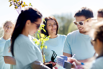 Image showing group of volunteers planting trees in park