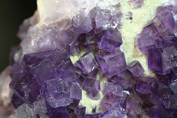 Image showing violet fluorite cubes