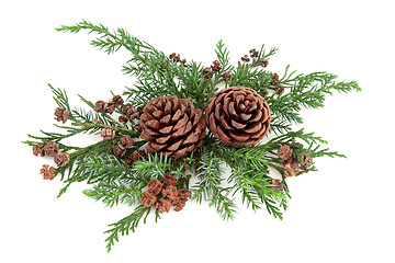 Image showing Winter Flora Arrangement