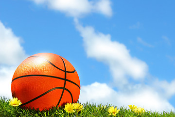 Image showing Basketball on the grass