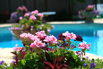 Image showing Poolside with flowers