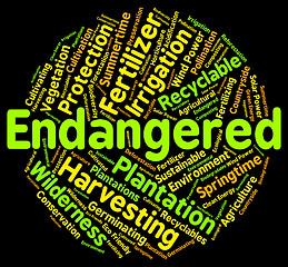 Image showing Endangered Word Means Facing Extinction And Endangering