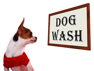 Image showing Dog Wash Sign Showing Canine Grooming Washing Or Shampoo