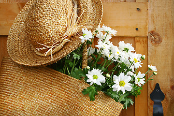 Image showing Daisies in summer purse