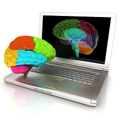 Image showing creative three-dimensional model of real human brain and scan on