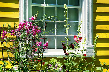 Image showing Old cottage with summer garden