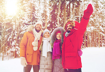 Image showing group of smiling men and women in winter forest