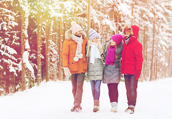 Image showing group of smiling men and women in winter forest