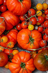 Image showing Tomatoes in colander