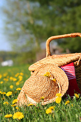 Image showing A picnic on the grass